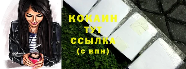 ALPHA PVP Осинники