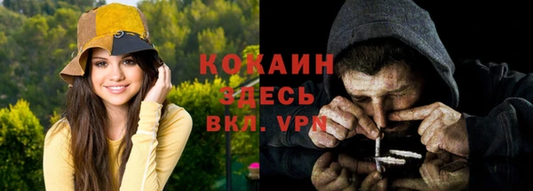 стаф Осташков