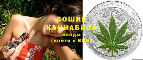 стаф Осташков