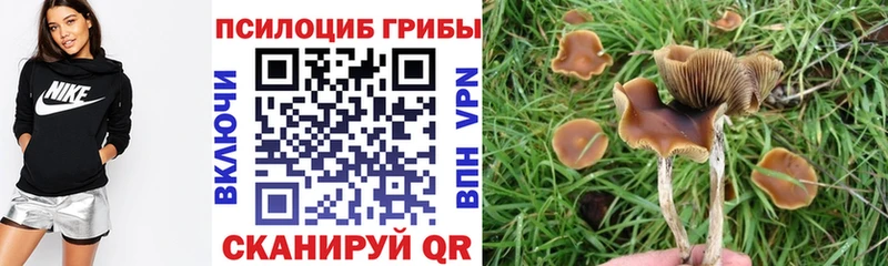Псилоцибиновые грибы MAGIC MUSHROOMS Брюховецкая
